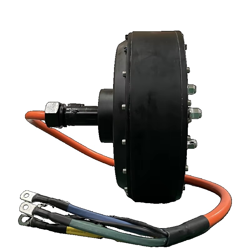 Kit de conversão para motor de - Qs Motor 273 8000W Hub Motor avaliação e preço