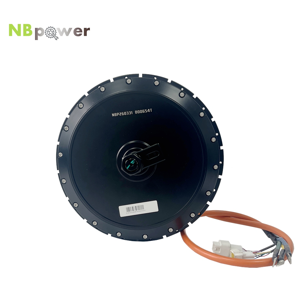 Motor de Cubo Traseiro para Bi - Qs Motor 273 8000W Hub Motor avaliação e preço